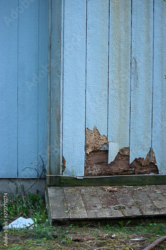 cracked damage from termites along house edge in siding photo