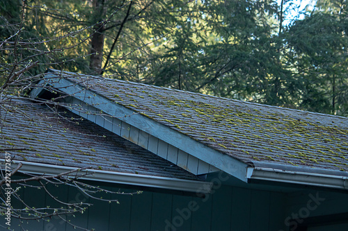 Valokuva mossy green growth on roof line of old house
