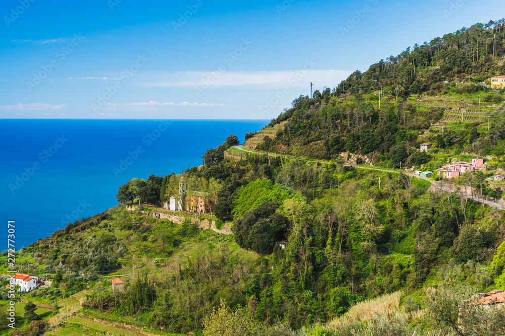 Terraced green hills with sparse houses on the Italian Riviera, under the summer sun. Scenic landscape in Cinque Terre, Italy.
