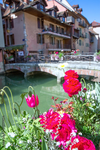 Annecy, France. Beautiful tulip flowers and green channel. Bright summer day and vivid colors.  © Nataliia