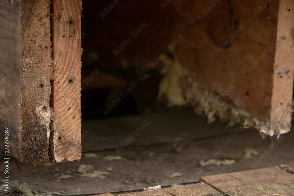 damaged wooden joists uncovered for repair job damaged wooden joists uncovered for repair job