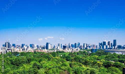 Obraz na płótnie 東京 青空と都市風景 w salonie
