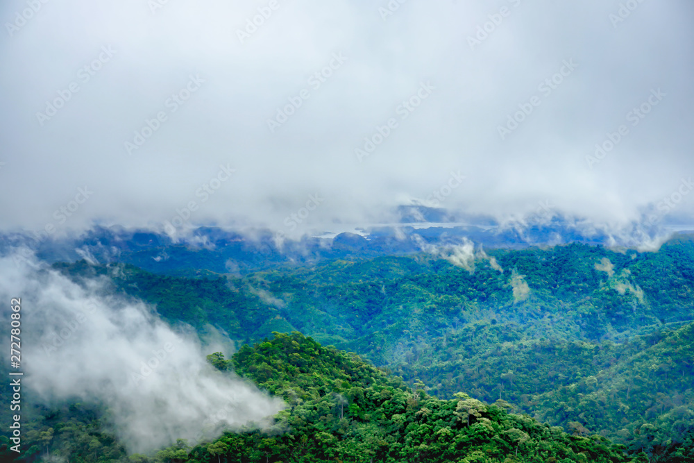 The rainforest mountains in the morning are covered with fog.