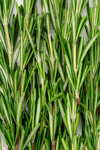 Fresh green sprig of rosemary. Rosemary texture. Rosemary macro. Rosemary branch
