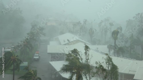 Palm Trees Thrash Wildly In Strong Winds Of Major Hurricane - Debbie