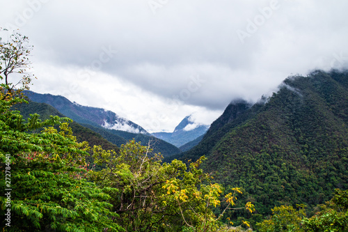 Green View of mountain landscape