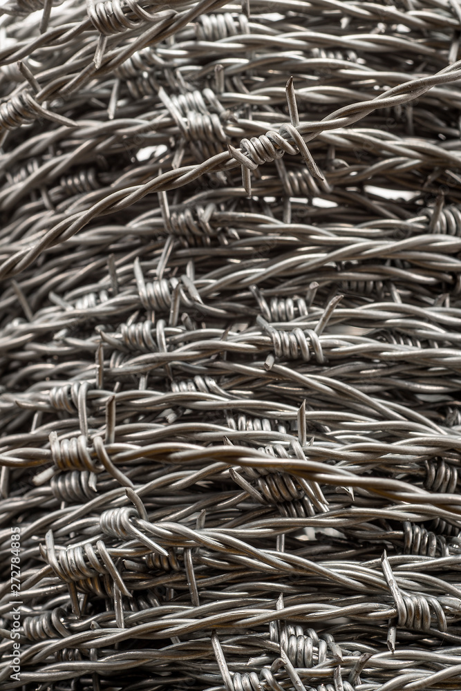 Whorl of barbed wire forming a coil Whorl of barbed wire forming a coil