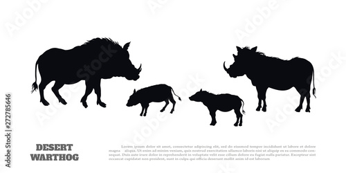 Black silhouette of african boar on white background. Isolated image of desert warthog family. Landscape with wild animals of Africa. Savannah nature photo