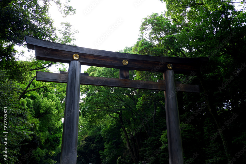 torii of shrine in japan
