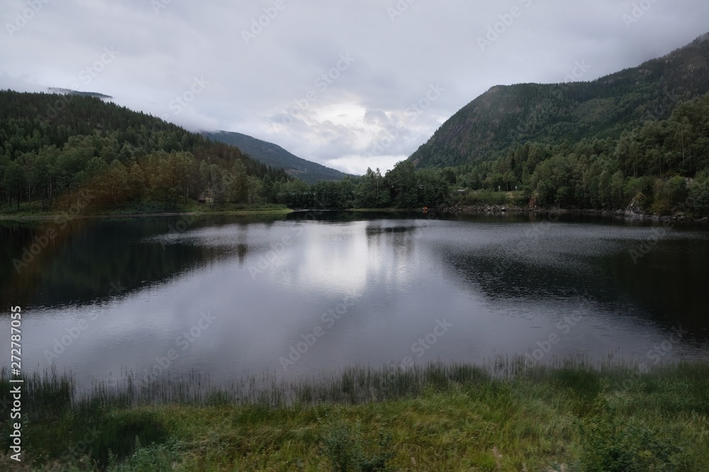 Obraz premium Norwegian fishing river Hallingdalselva with green forest in the background against blue sky