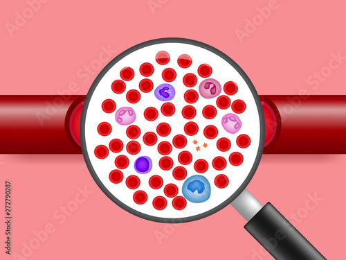 Magnifying glass is watching the vein with element of blood vector ESP10