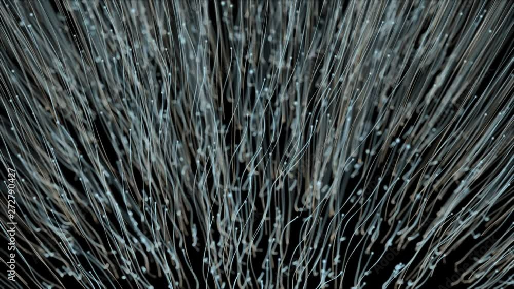 lot of bright abstract threads of chaotic rising up 3d animation lot of bright abstract threads of chaotic rising up 3d animation