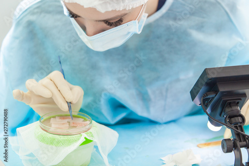 Cuadro en lienzo The doctor under the microscope recalculates the hair follicles