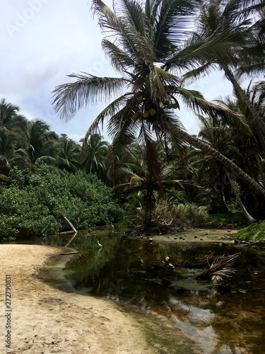 Tayrona national park in columbia