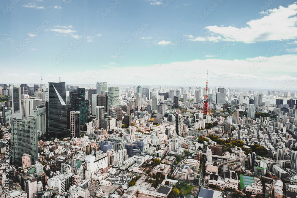 Fototapeta premium Tokyo View