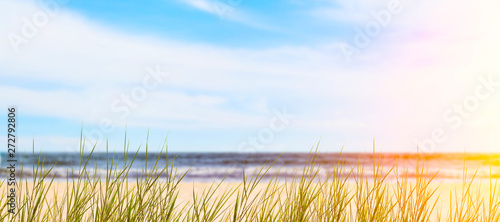 Fototapeta Naklejka Na Ścianę i Meble -  sandstrand mit dünengras unscharfer hintergrund