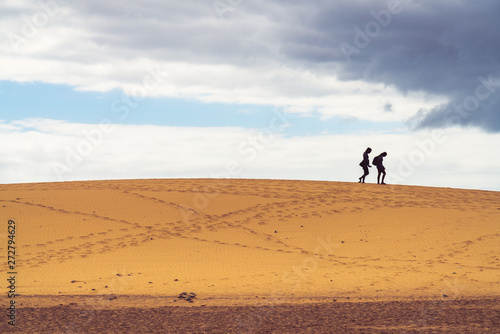 Shadows of two young girls walking on the sand dune. © stockme