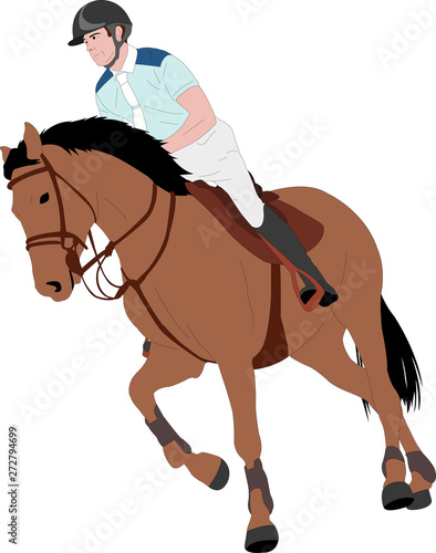 young horseman riding elegant horse color illustration © Bokica