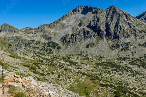 Landscape with Kamenitsa peak, Pirin Mountain, Bulgaria