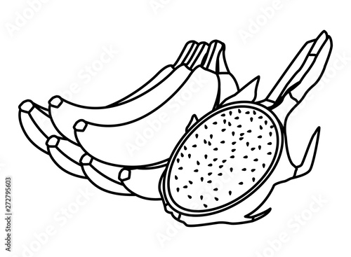 exotic tropical fruit icon cartoon in black and white