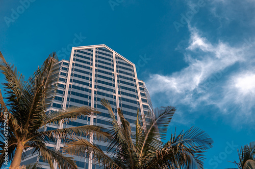 San Diego, USA, 2018. Palm trees on background of downtown skyscraper. Modern city in tropics © Hairem