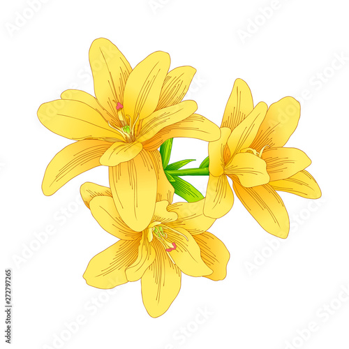 bouquet of yellow flower. Drawing with line-art on white backgrounds. Vector illustration.