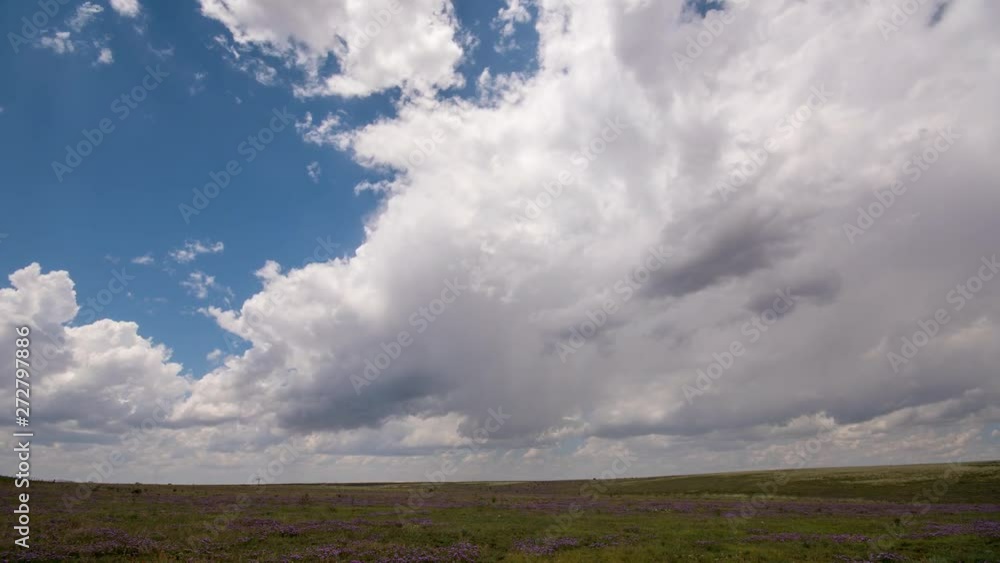 Storm clouds moving over field of purple flowers in New Mexico. Storm clouds moving over field of purple flowers in New Mexico.