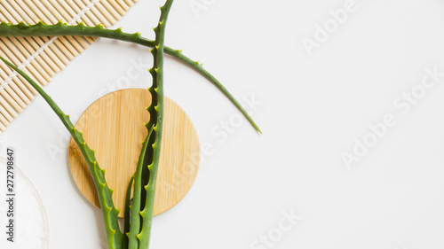 Fototapeta Naklejka Na Ścianę i Meble -  Aloe vera leaves for beauty treatment