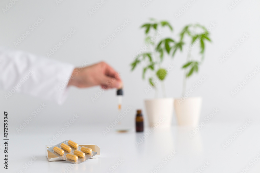 Obraz premium White table with Marijuana plant in pottery. Hand dropping CBD oil from pipette to the watch glass.