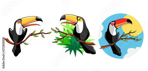 toucan vector set graphic design