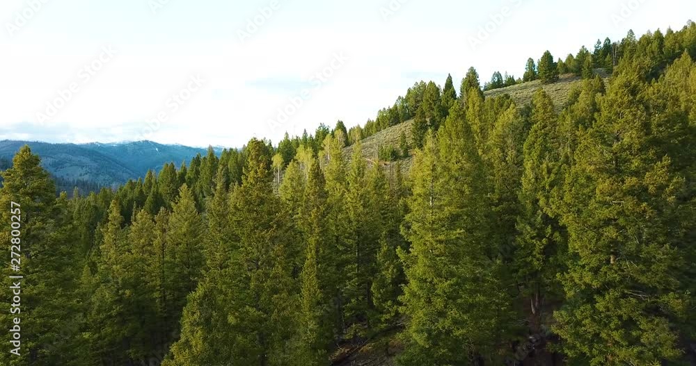 Idaho Forest Salmon Challis Aerial Idaho Forest Salmon Challis Aerial