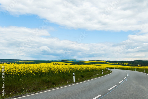 Landscape with the asphalt road between  yellow green fields of rapeseed flowers under the blue cloudy sky.