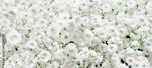 Photography picture White flower group surface, beautiful pattern