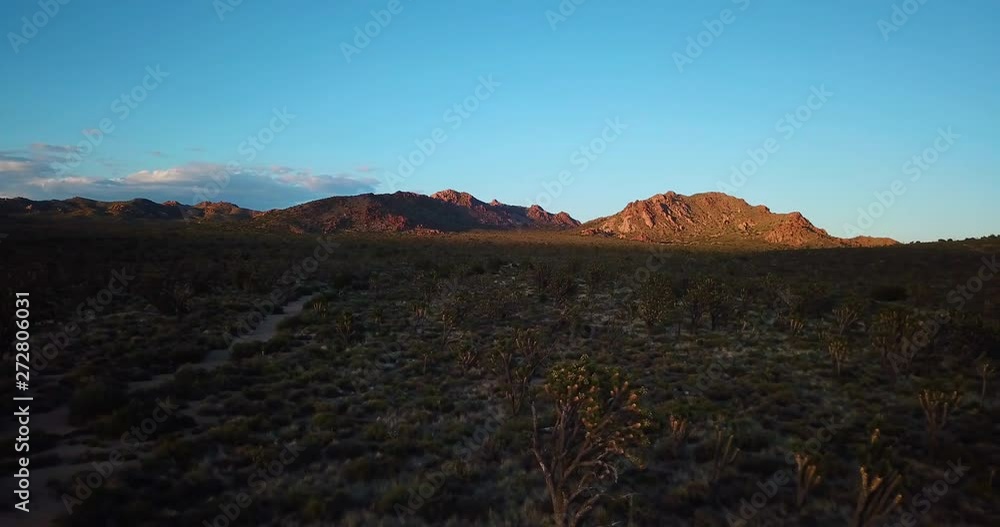 Joshua Tree Forest Mojave California Aerial Joshua Tree Forest Mojave California Aerial