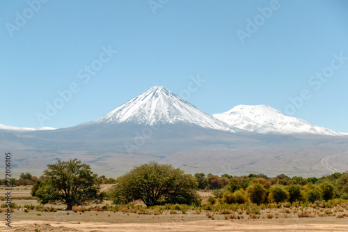 Blurred background of Atacama Desert landscape with snow-capped Andean volcanos, salt flat and some vegetation on horizon, Chile