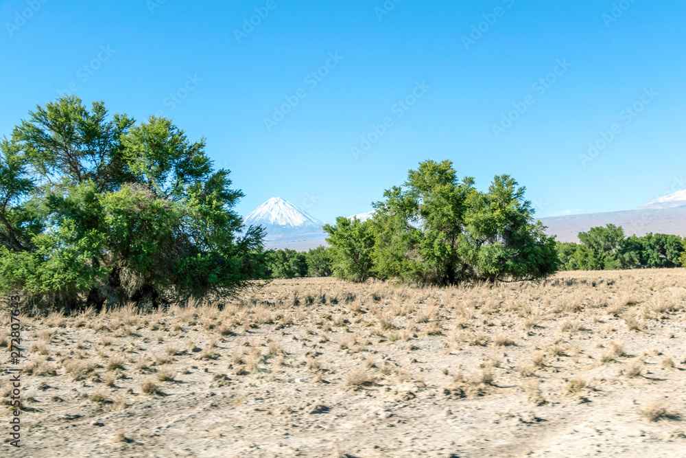 Blurred background of Atacama Desert landscape with snow-capped Andean volcanos, salt flat and some vegetation on horizon, Chile Blurred background of Atacama Desert landscape with snow-capped Andean volcanos, salt flat and some vegetation on horizon, Chile