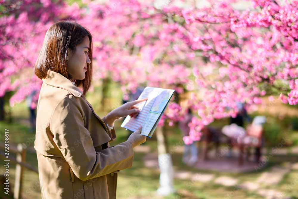 Beautiful woman holding a map in a park full of cherry blossoms Beautiful woman holding a map in a park full of cherry blossoms
