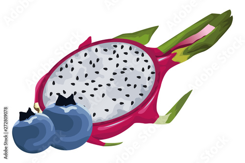 exotic tropical fruit icon cartoon