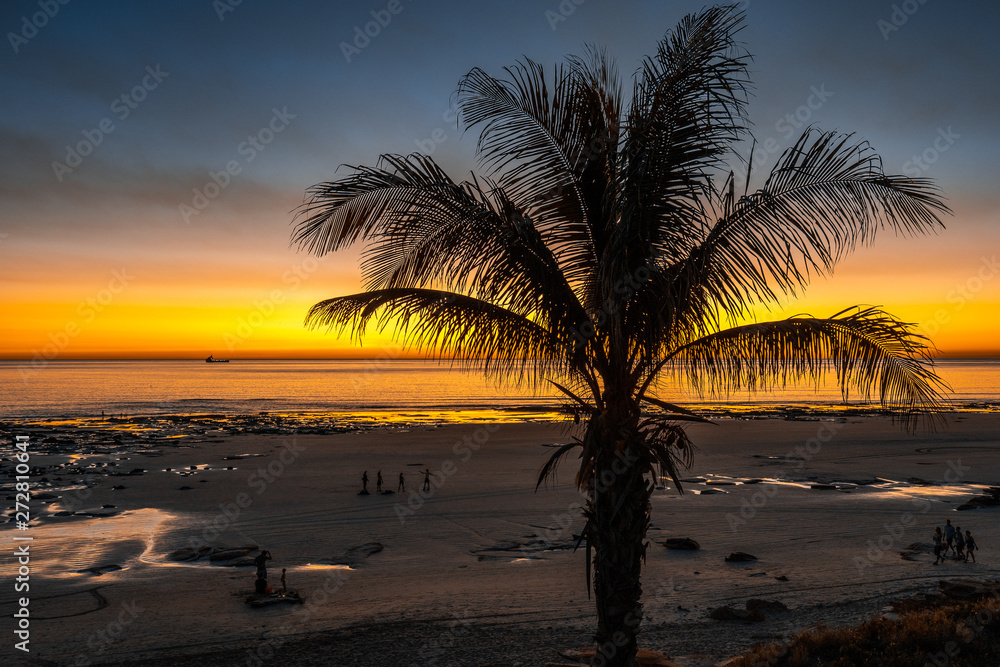 Palm tree at sunset at the Cable beach in Broome, Western Australia