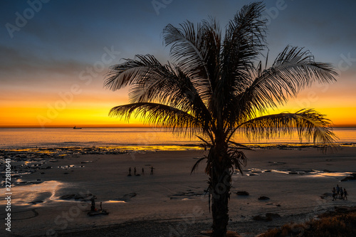 Palm tree at sunset at the Cable beach in Broome  Western Australia