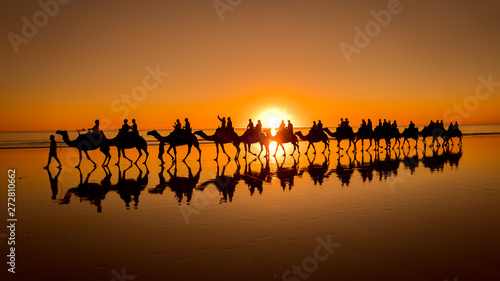 Sunset camel ride in Broome  Western Australia