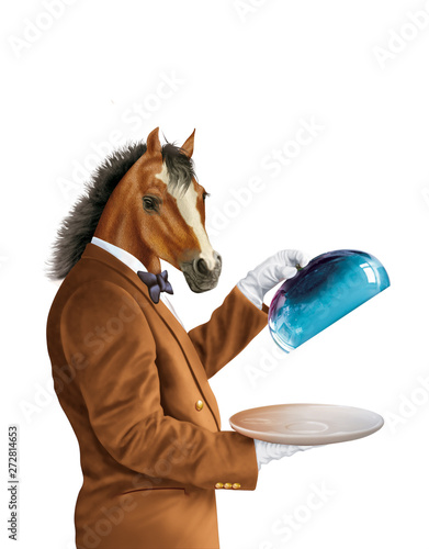 Cheval Animal Serveur Metre D Hotel Cuisinier Tete Brun Portrait Isole Amoureux Des Chevaux Ferme Chevalin Blanc Crin Etalon Mammifere Bai Jument Nature Chataigne Beau Atteler Y Stock Illustration Adobe Stock