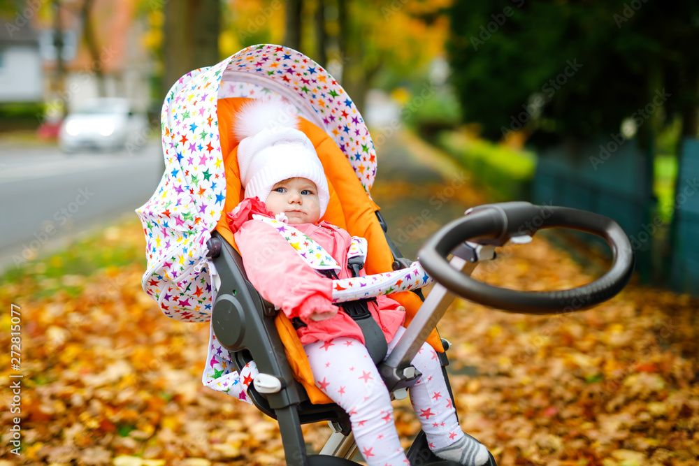 Cute little beautiful baby girl sitting in the pram or stroller on autumn day. Happy healthy