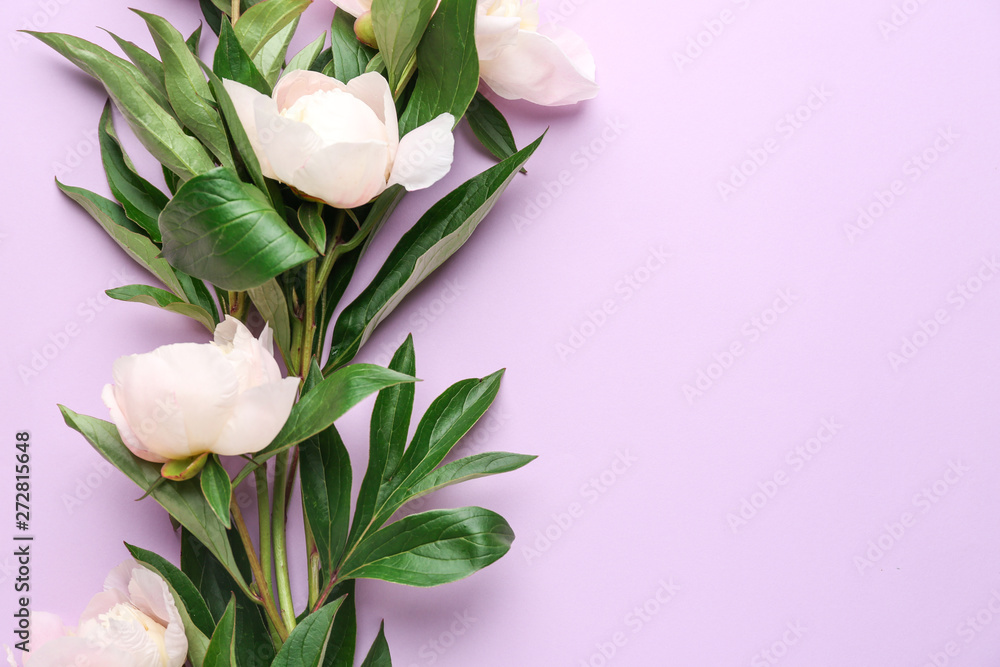 Beautiful peony flowers on color background Beautiful peony flowers on color background