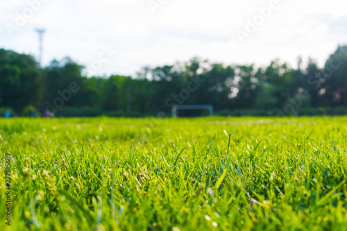 grass close-up. in the background gates