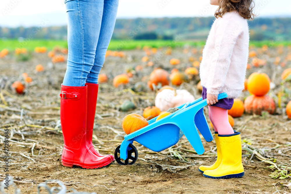 Legs of young woman and her little kid girl daugher in rainboots. Woman in red gum boots, child in yellow shoes. On pumpkin field, outdoors Legs of young woman and her little kid girl daugher in rainboots. Woman in red gum boots, child in yellow shoes. On pumpkin field, outdoors