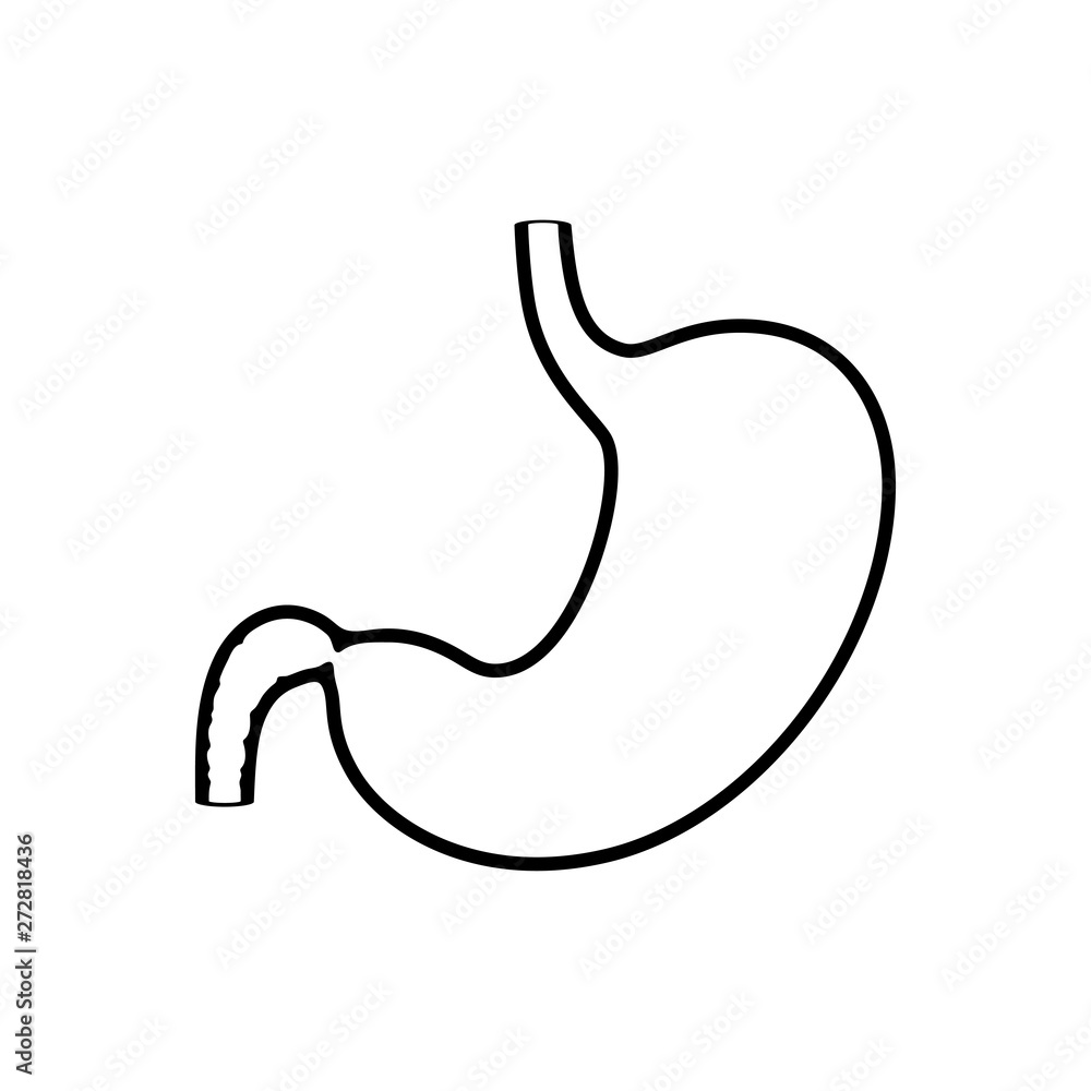 Vector isolated illustration of stomach Vector isolated illustration of stomach