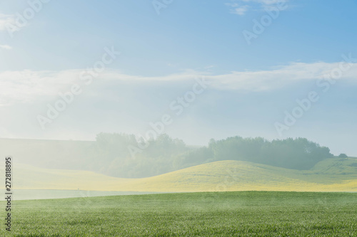 Foggy landscape against the sunlight of the early morning with field of grass in the foreground