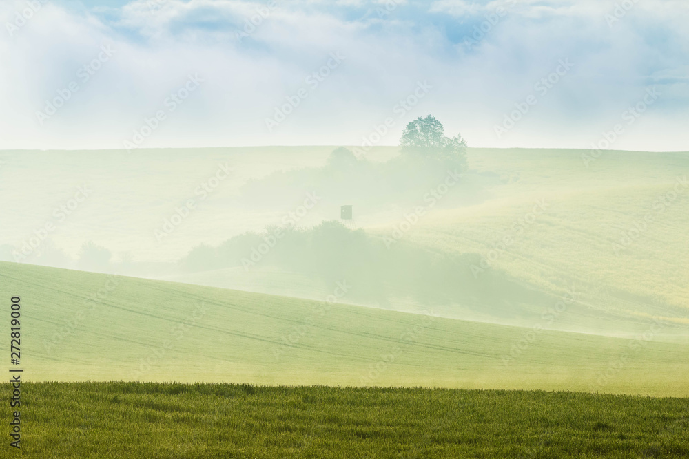 Foggy landscape against the sunlight of the early morning with field of grass in the foreground