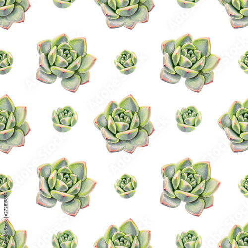 Beautiful colorful succulent seamless pattern. Bouquet of flowers. Floral texture. Marker drawing. Watercolor painting.  Flower painted background. Hand drawn illustration. Wallpaper. photo